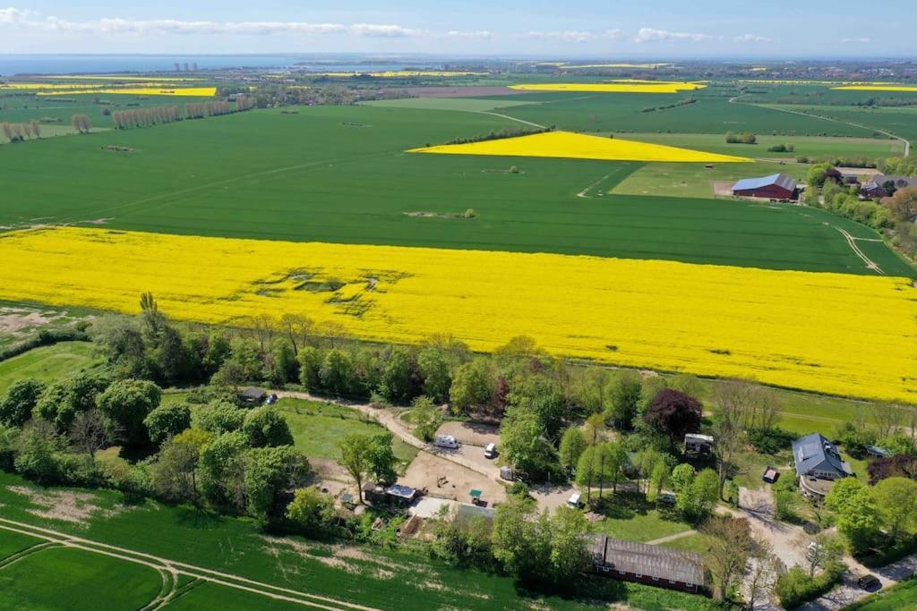 Loft Auf Fehmarn 800M Zum Strand ภายนอก รูปภาพ